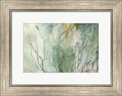 Framed Branches II Print