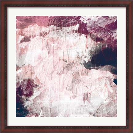 Framed Abstract Roses Print