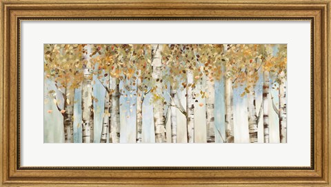 Framed Birch Country Print