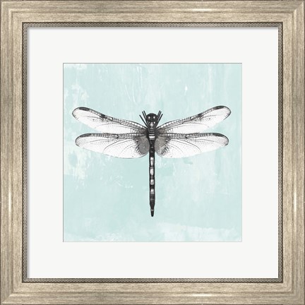 Framed Dragonfly I Print