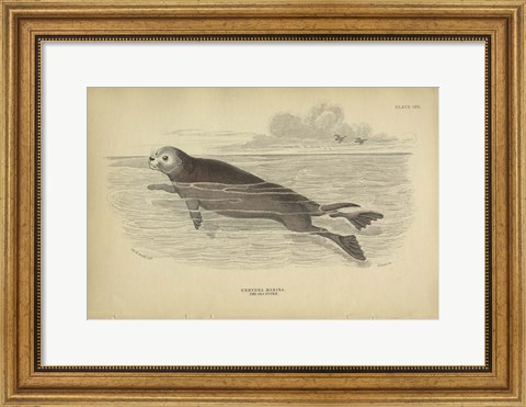 Framed Sea Otter Print