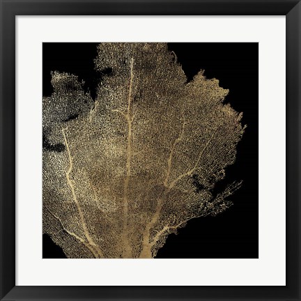 Framed Honeycomb Coral I Print