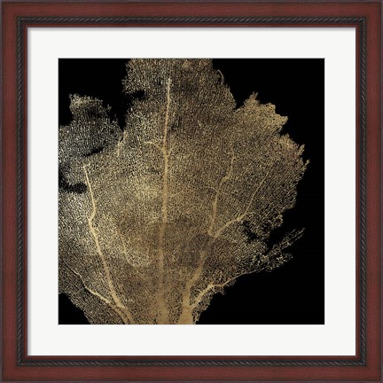 Framed Honeycomb Coral I Print