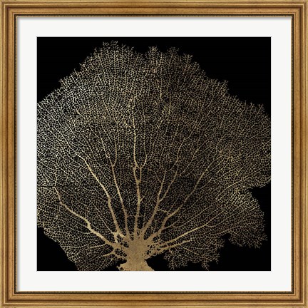 Framed Honeycomb Coral II Print