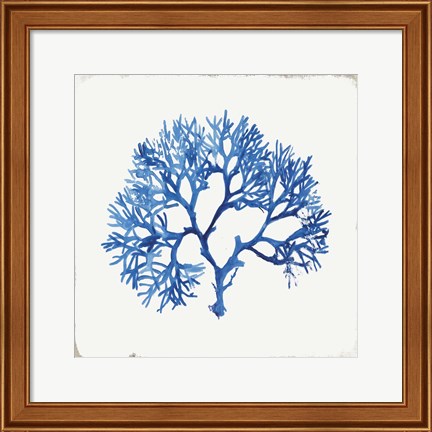 Framed Blue and Green Coral V Print