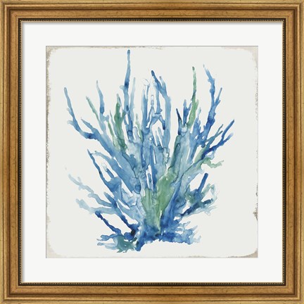 Framed Blue and Green Coral II Print