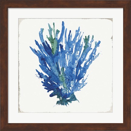 Framed Blue and Green Coral III Print
