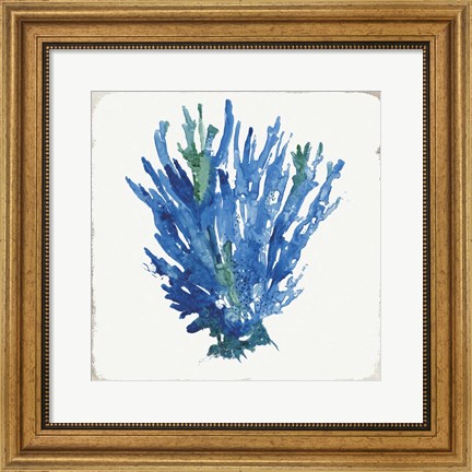 Framed Blue and Green Coral III Print