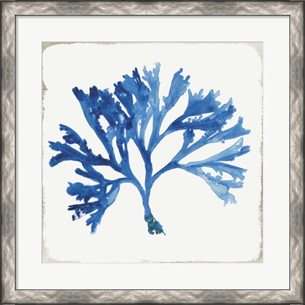 Framed Blue and Green Coral IV Print