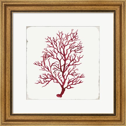 Framed Red Coral III Print