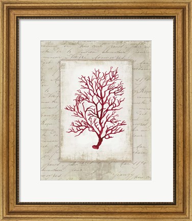 Framed Red Coral III Border Print