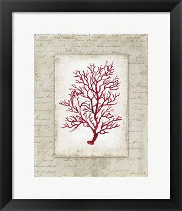 Framed Red Coral III Border Print