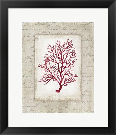 Framed Red Coral III Border Print