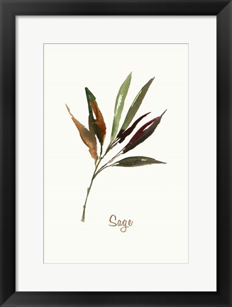 Framed Wild Sage Print