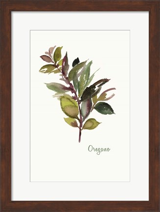 Framed Oregano Print