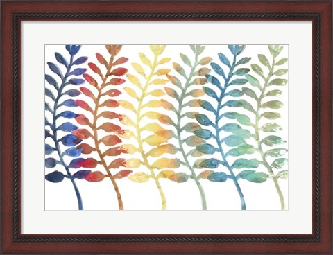Framed Fresh Ferns Print