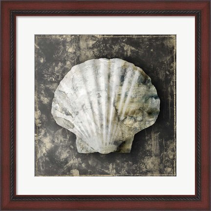 Framed Marble Shell Series IV Print