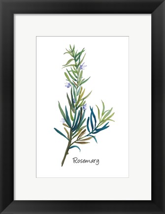 Framed Rosemary I Print