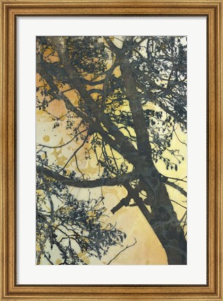 Framed Bubbly Branches Print