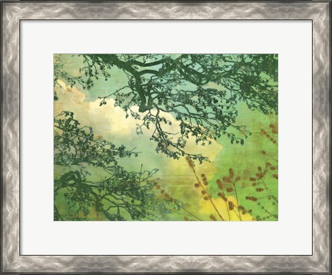 Framed Branches and Clouds Print
