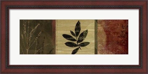 Framed Leaf Impressions II Print