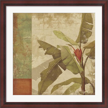 Framed Planta Print