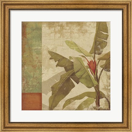 Framed Planta Print