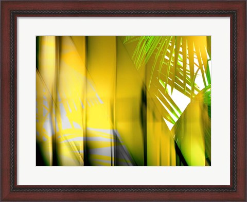 Framed Yellow Shades Print