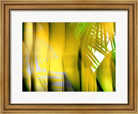 Framed Yellow Shades Print