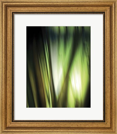 Framed Organic I Print