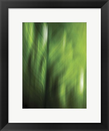 Framed Organic V Print