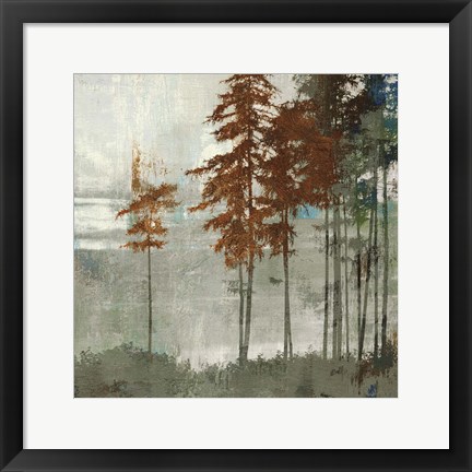 Framed Spruce Woods II Print