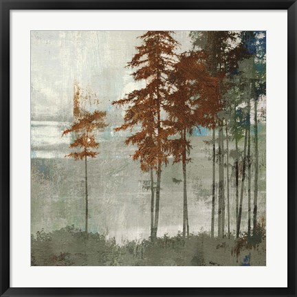 Framed Spruce Woods II Print
