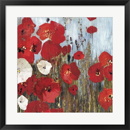 Framed Passion Poppies I Print