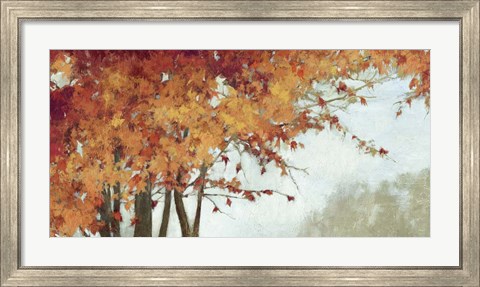 Framed Fall Canopy I Print
