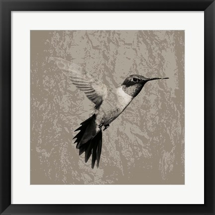 Framed Feathered I Print