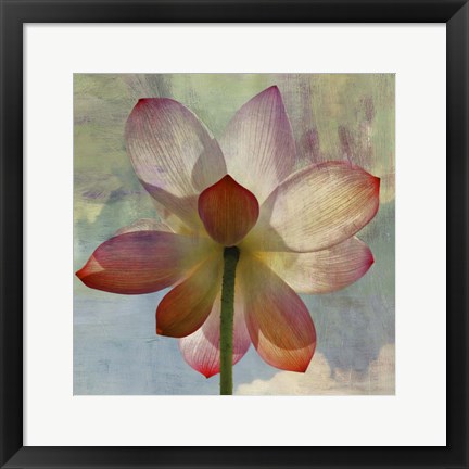Framed Lovely Lily II Print