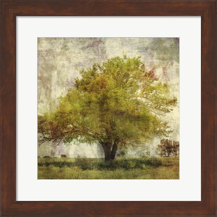Framed Vintage Tree Print