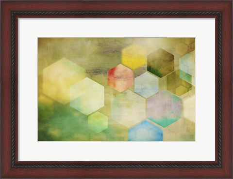 Framed Honeycomb I Print