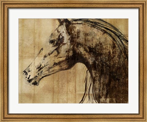 Framed Stallion I - Print on Demand Print