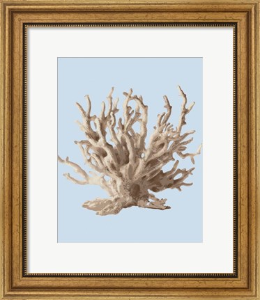 Framed Coral II Print