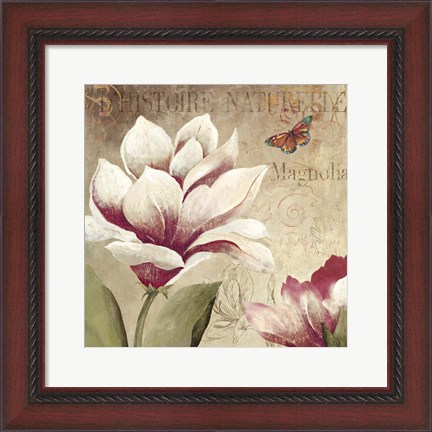 Framed Magnolia Print