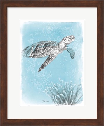 Framed Coastal Sea Life I Print