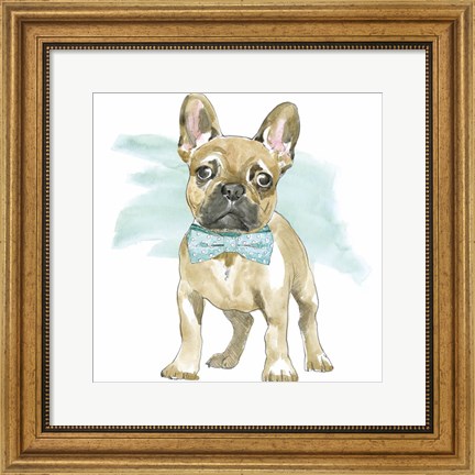 Framed Glamour Pups XI Print