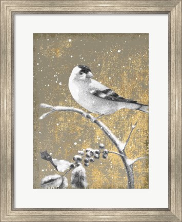 Framed Winter Birds Goldfinch Neutral Print