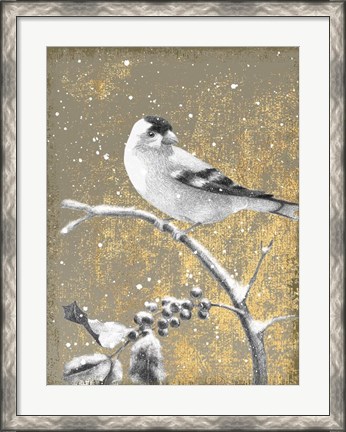 Framed Winter Birds Goldfinch Neutral Print