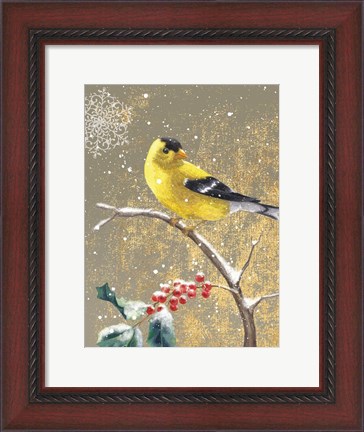 Framed Winter Birds Goldfinch Color Print