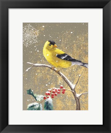 Framed Winter Birds Goldfinch Color Print