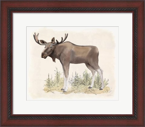 Framed Wilderness Collection Moose Print