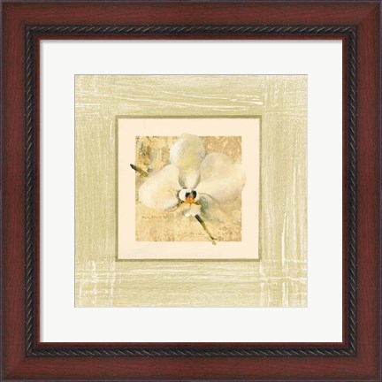 Framed Exotic Floral III Print